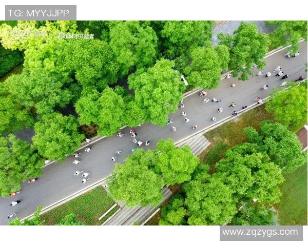 武汉乒乓球队状态深度对比分析及未来发展趋势探讨