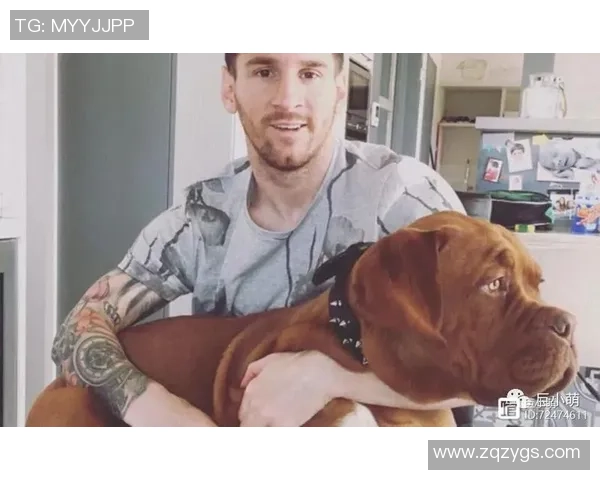 狗子足球明星名字大全及其背后的故事与成就解析